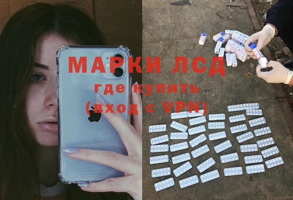 ГАЛЛЮЦИНОГЕННЫЕ ГРИБЫ Армянск