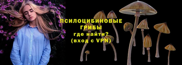 СК Арсеньев