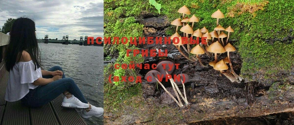 СК Арсеньев